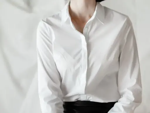 Structured Collar Blouse